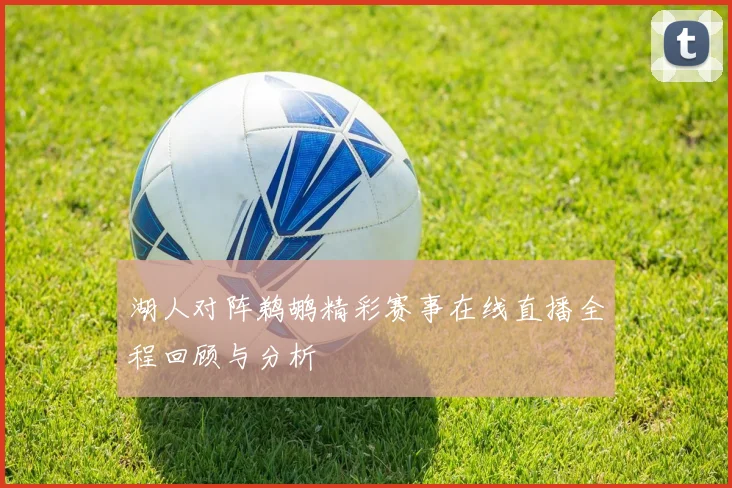 湖人对阵鹈鹕精彩赛事在线直播全程回顾与分析