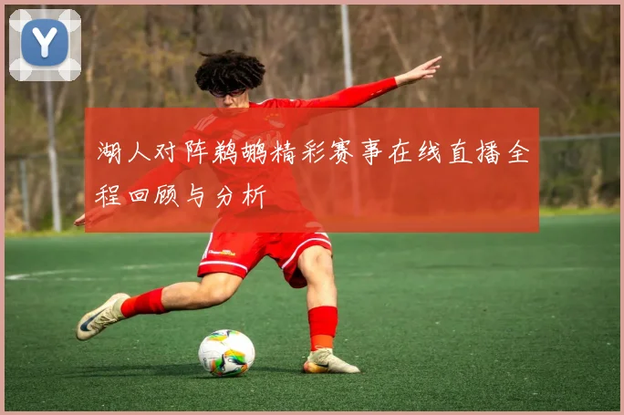 湖人对阵鹈鹕精彩赛事在线直播全程回顾与分析